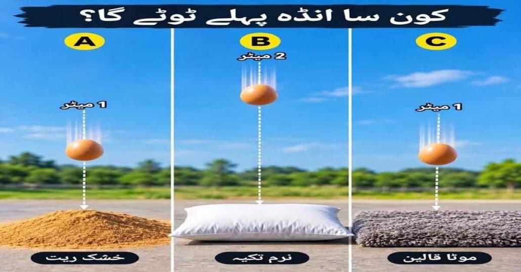 کون سا انڈا سب سے پہلے ٹوٹے گا؟ غور سے دیکھیں اور اپنا جواب دیں